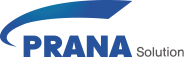 PRANA Solution Europe GmbH